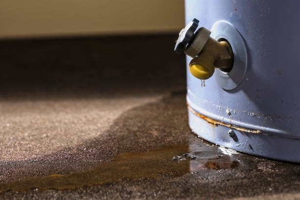 Best Carpet water damage restoration  in Kaneohe, HI