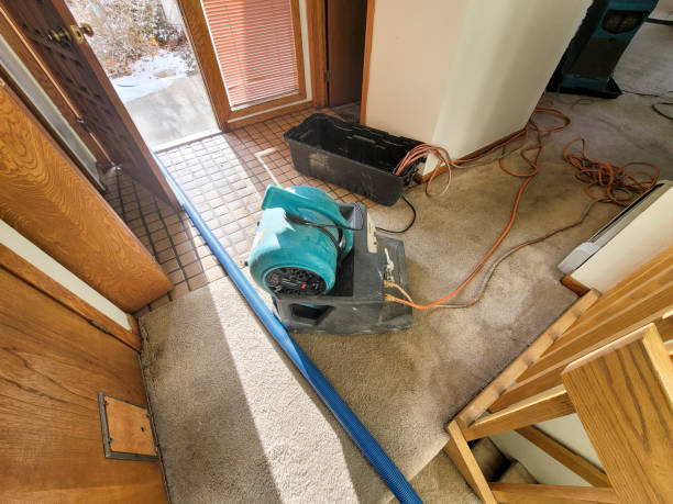 Best Water damage restoration near me  in Kaneohe, HI