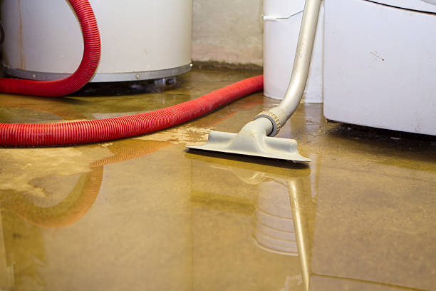 Best Flooded house restoration  in Kaneohe, HI