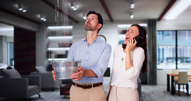 Water damage restoration mold remediation in HI
